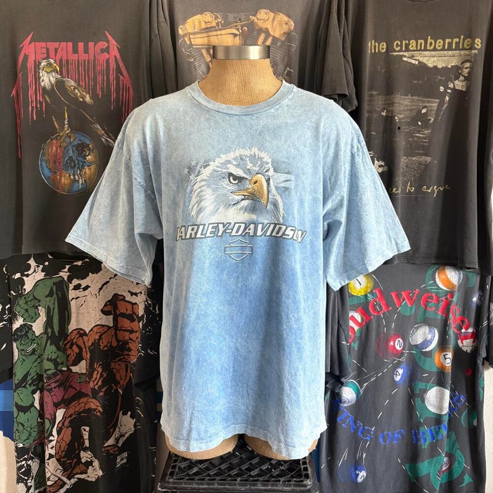Vintage 2000s Harley Davidson Biker T-shirt